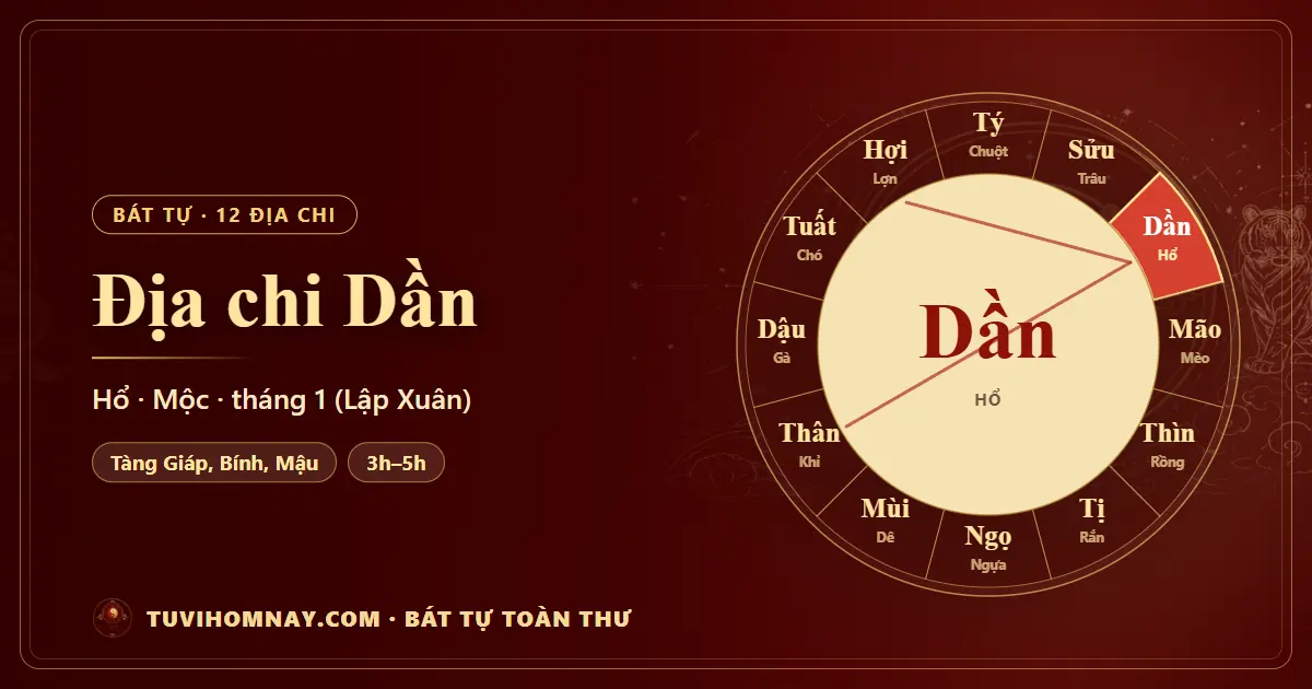 Địa chi Dần trong Bát tự: tàng can, tháng, giờ — Bát tự toàn thư