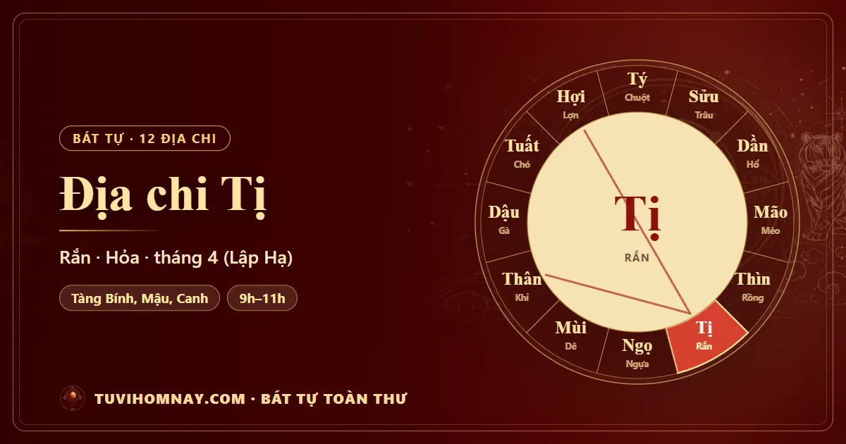 Địa chi Tị trong Bát tự: tàng can, tháng, giờ — Bát tự toàn thư