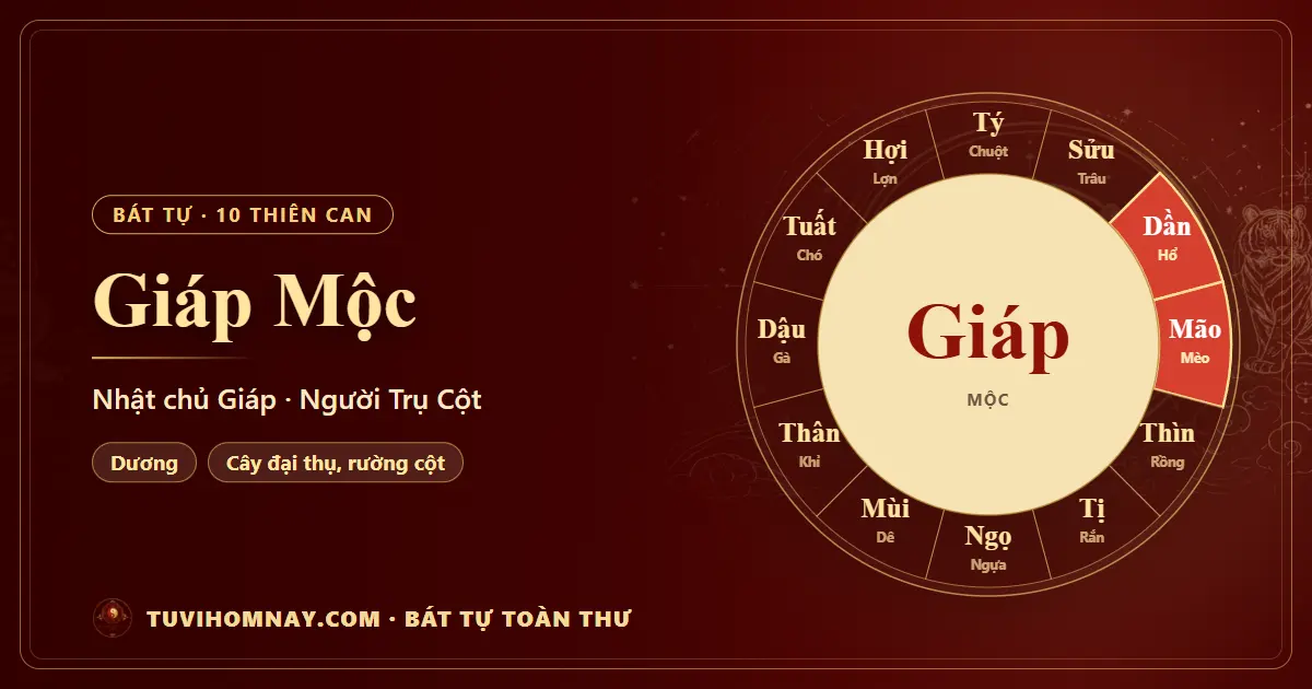 Thiên can Giáp Mộc: Nhật chủ Giáp trong Bát tự — Bát tự toàn thư
