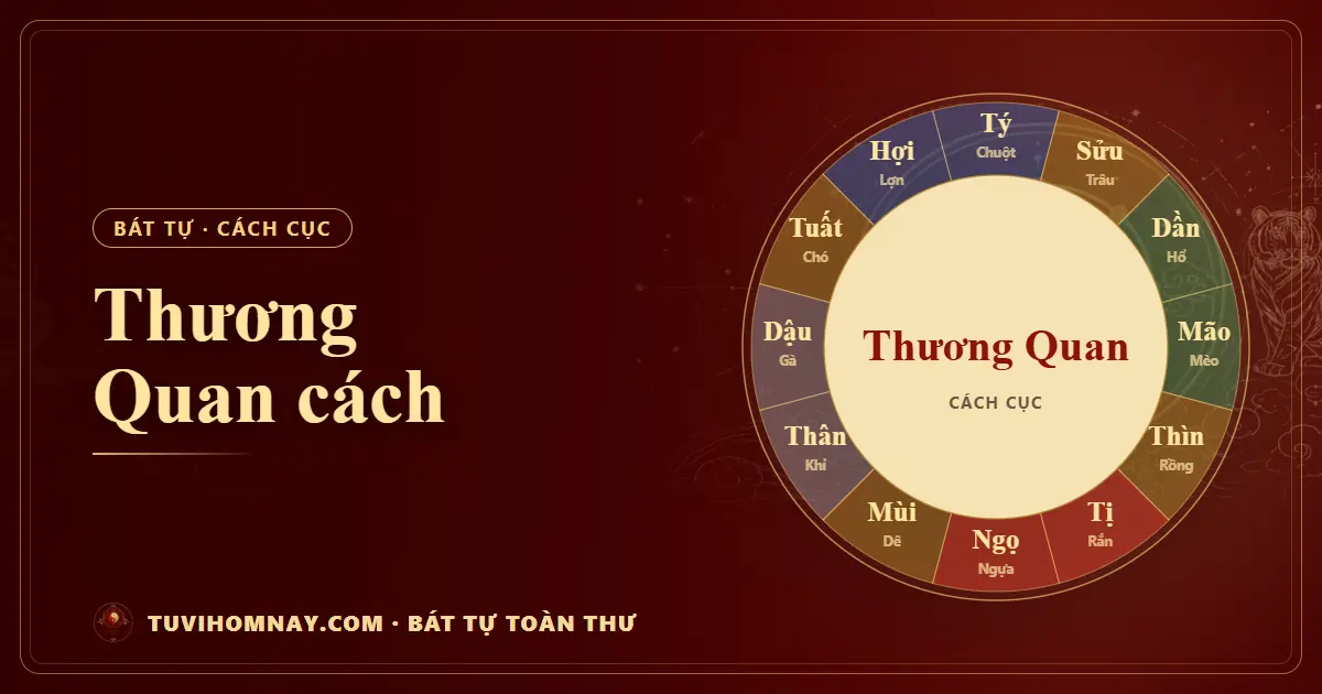 Thương Quan cách trong Bát tự — Bát tự toàn thư