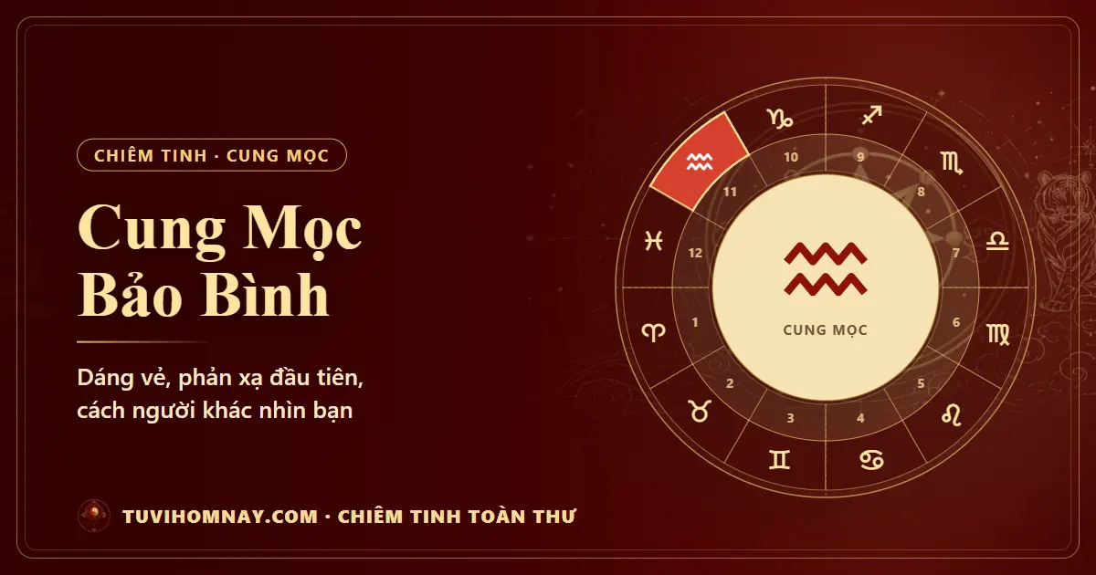 Cung Mọc Bảo Bình — Chiêm tinh toàn thư