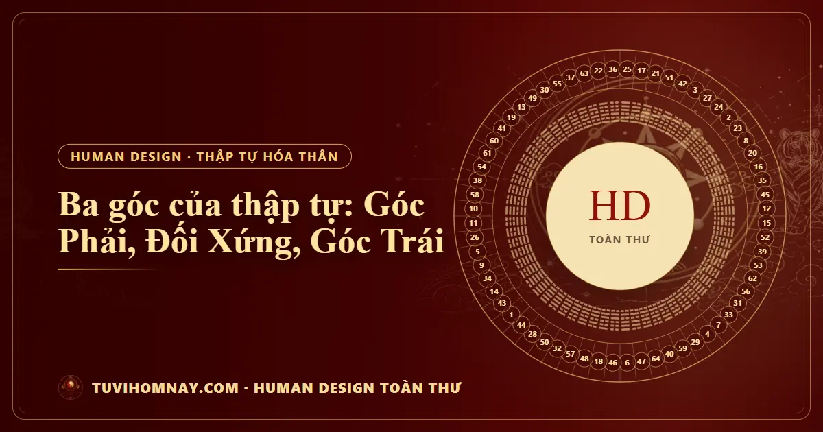 Ba góc của thập tự: Góc Phải, Đối Xứng, Góc Trái — Human Design toàn thư