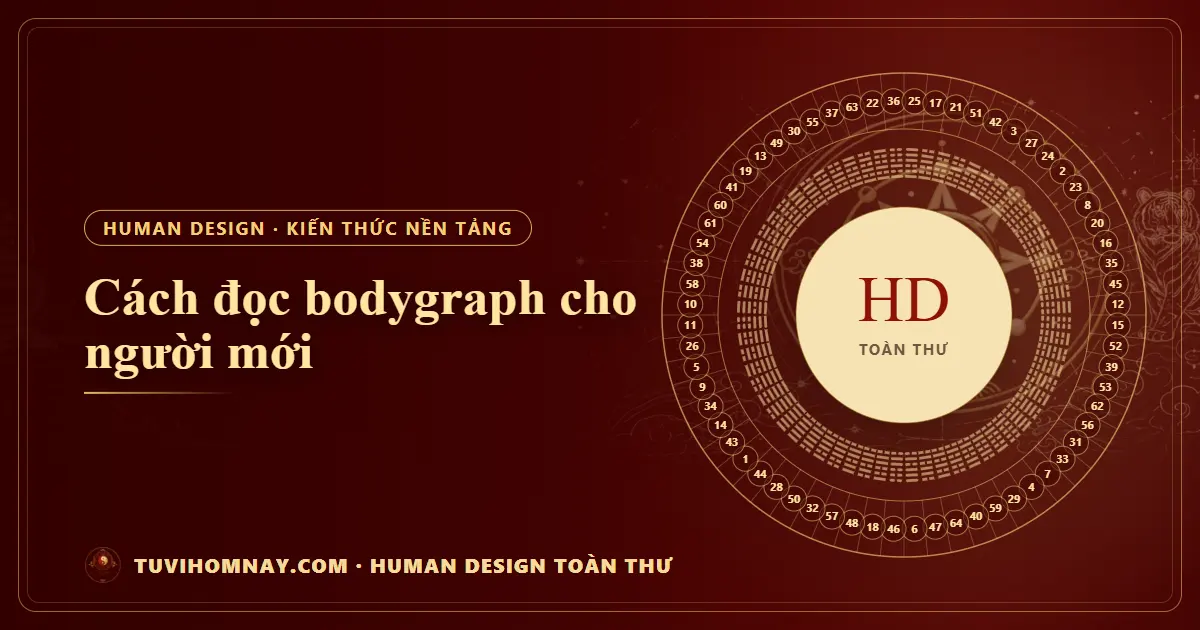 Cách đọc bodygraph cho người mới — Human Design toàn thư