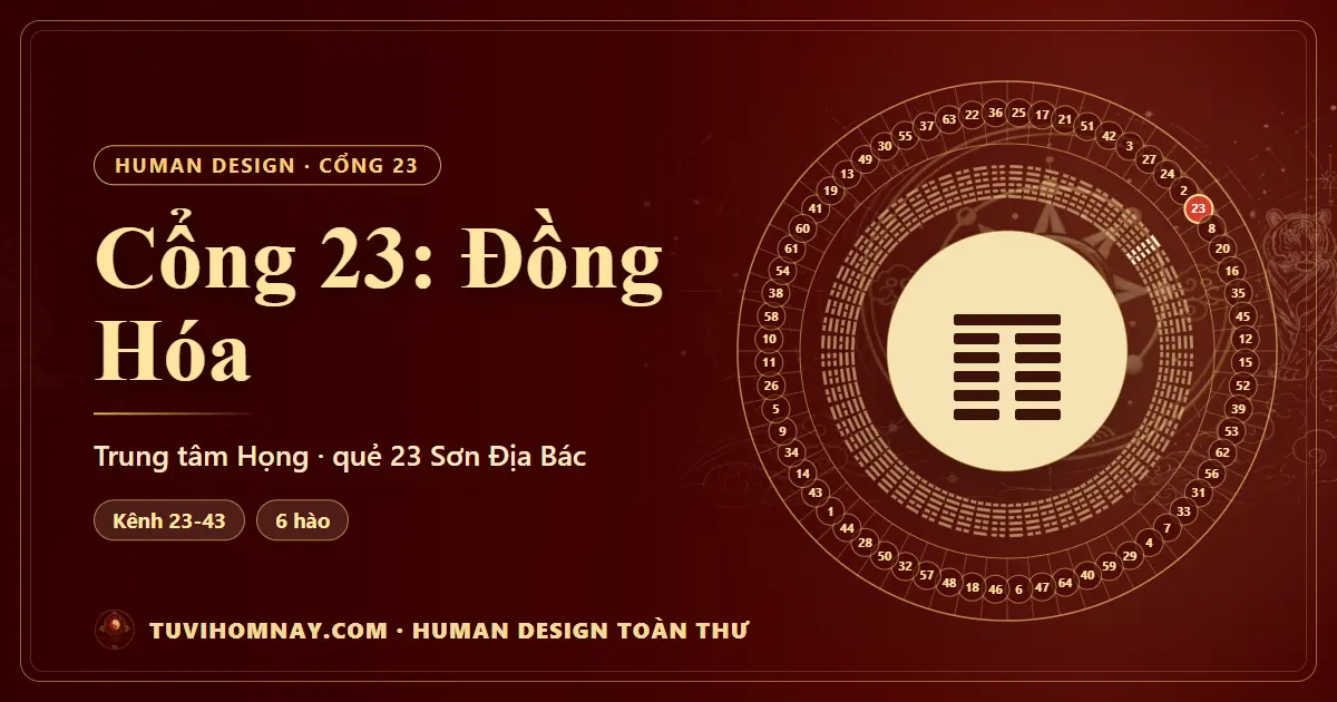 Cổng 23: Đồng Hóa — Human Design toàn thư