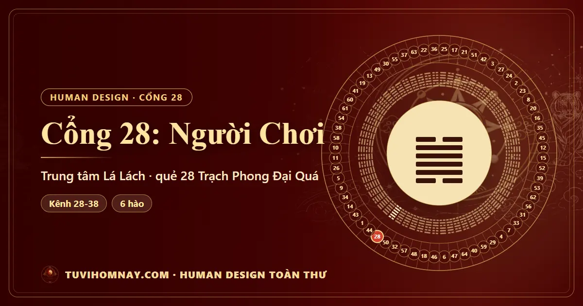 Cổng 28: Người Chơi — Human Design toàn thư