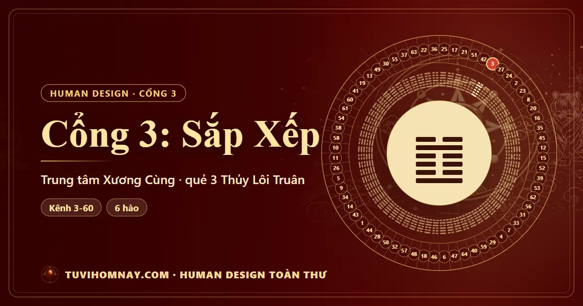 Cổng 3: Sắp Xếp — Human Design toàn thư