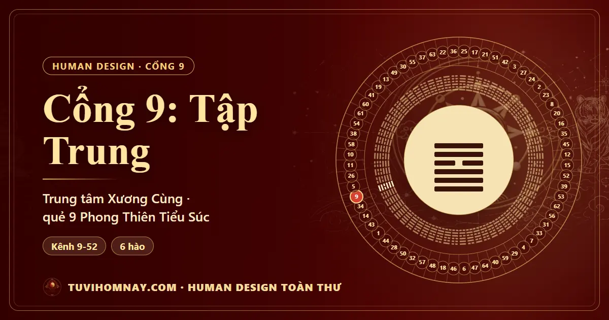 Cổng 9: Tập Trung — Human Design toàn thư