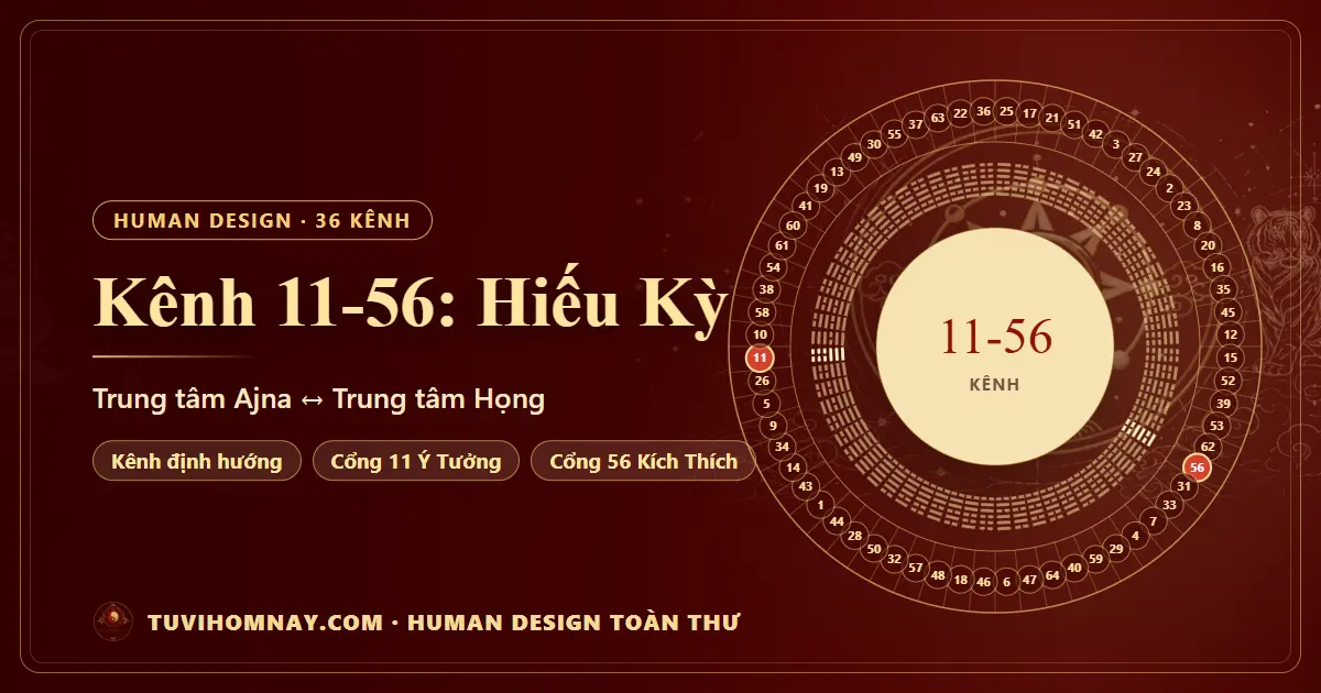Kênh 11-56: Hiếu Kỳ — Human Design toàn thư