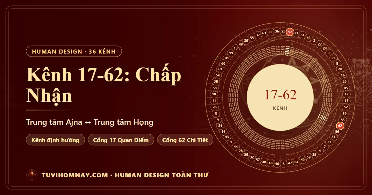Kênh 17-62: Chấp Nhận — Human Design toàn thư