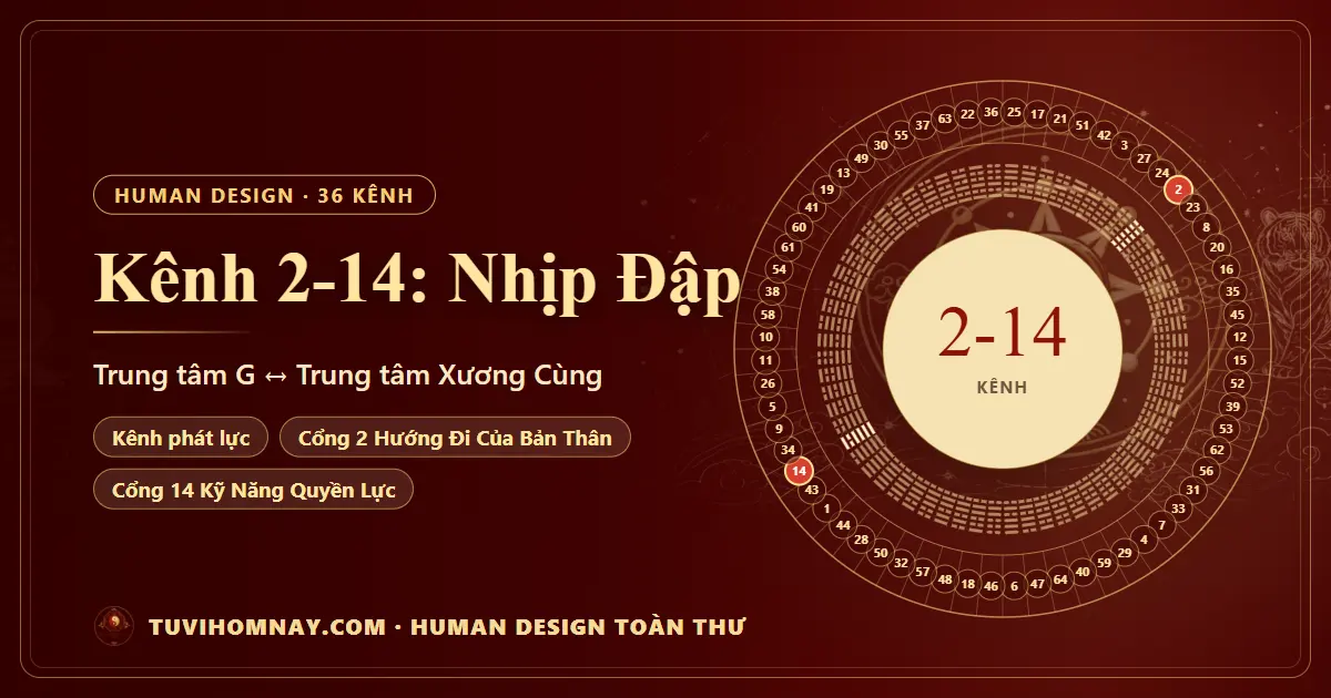 Kênh 2-14: Nhịp Đập — Human Design toàn thư