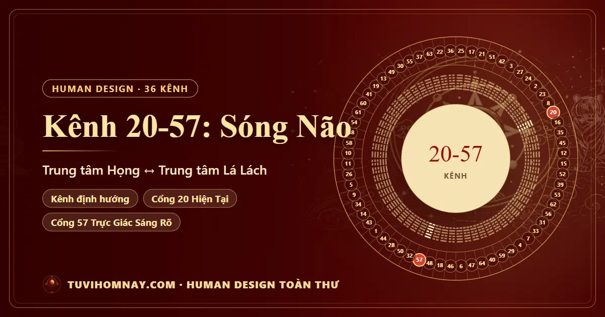 Kênh 20-57: Sóng Não — Human Design toàn thư