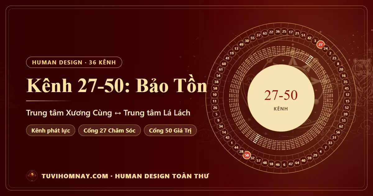 Kênh 27-50: Bảo Tồn — Human Design toàn thư