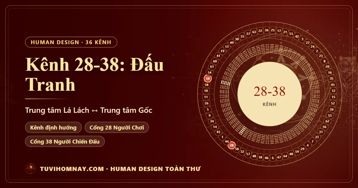 Kênh 28-38: Đấu Tranh — Human Design toàn thư
