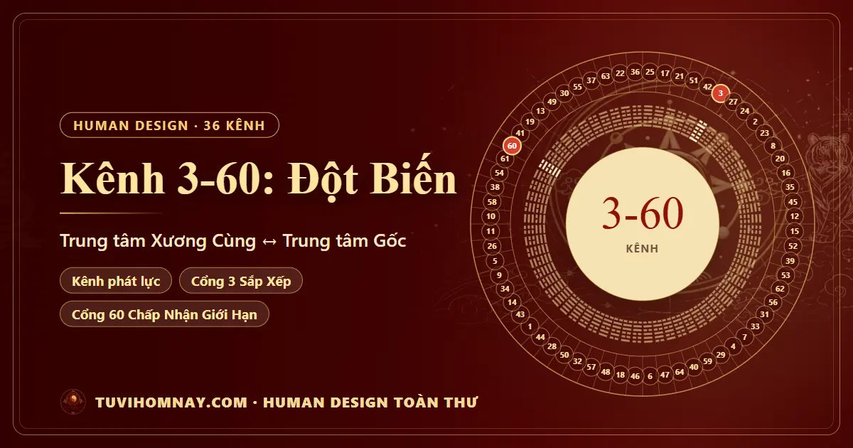 Kênh 3-60: Đột Biến — Human Design toàn thư