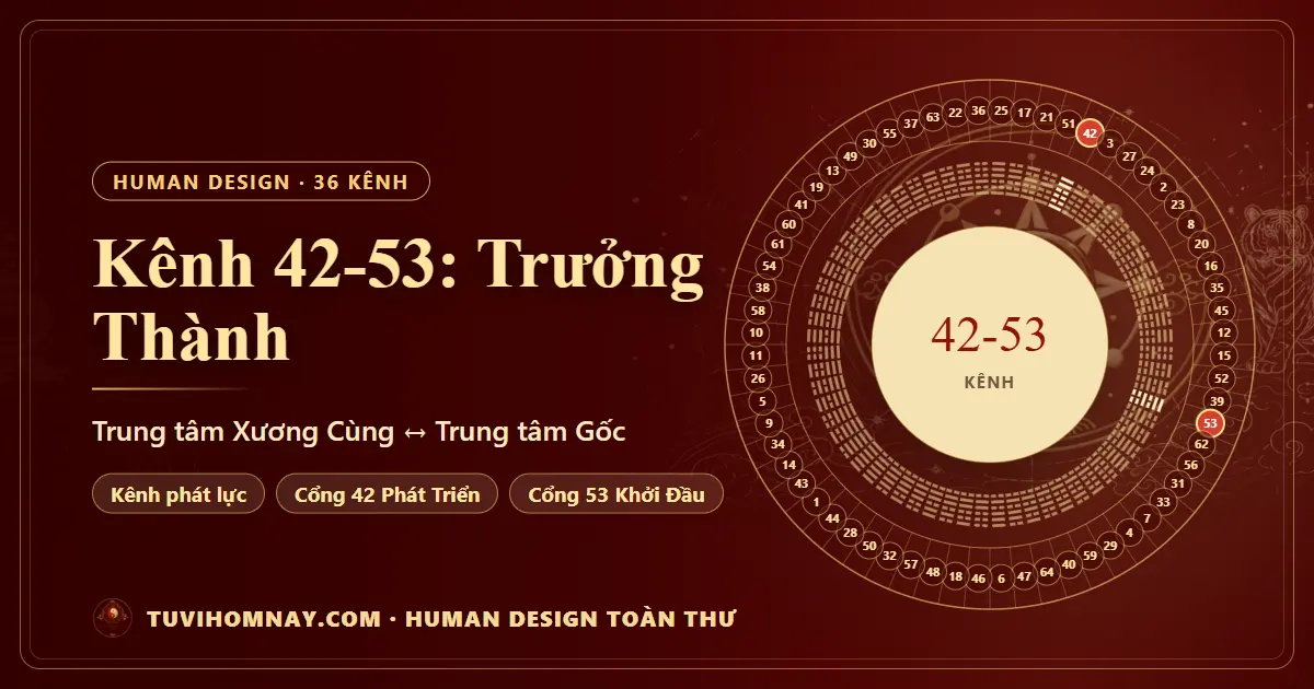 Kênh 42-53: Trưởng Thành — Human Design toàn thư