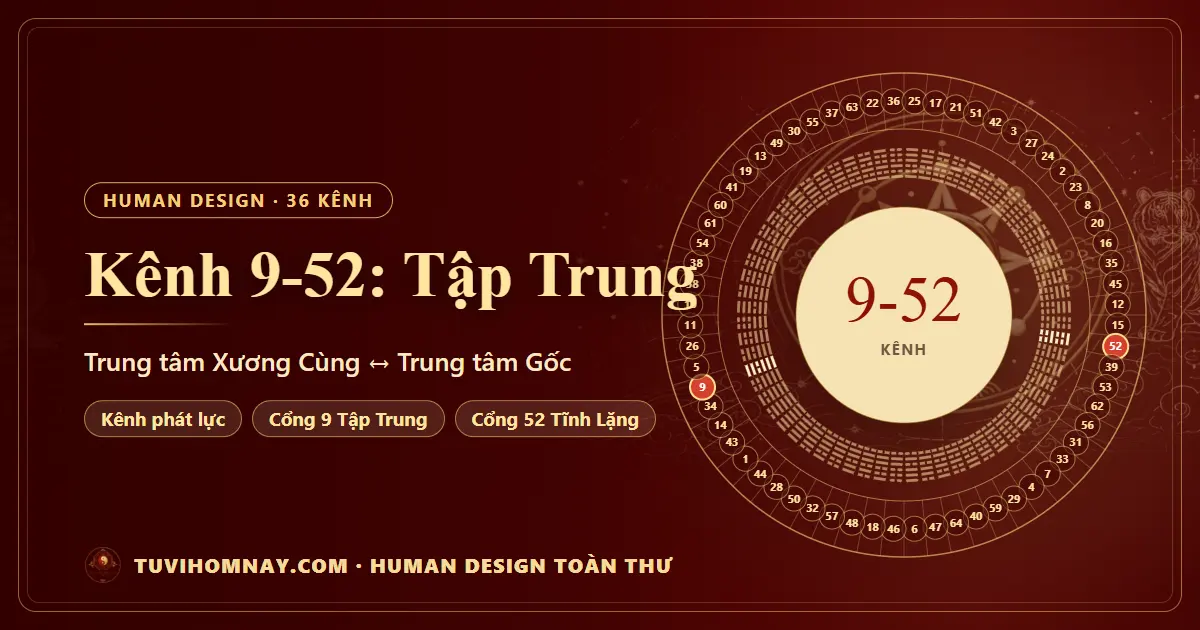 Kênh 9-52: Tập Trung — Human Design toàn thư