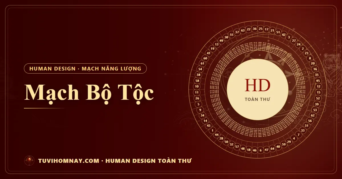 Mạch Bộ Tộc — Human Design toàn thư