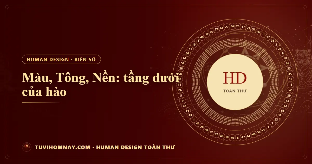 Màu, Tông, Nền: tầng dưới của hào — Human Design toàn thư