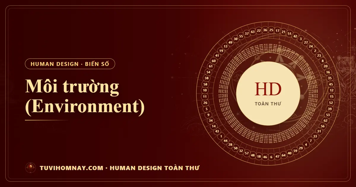 Môi trường (Environment) — Human Design toàn thư