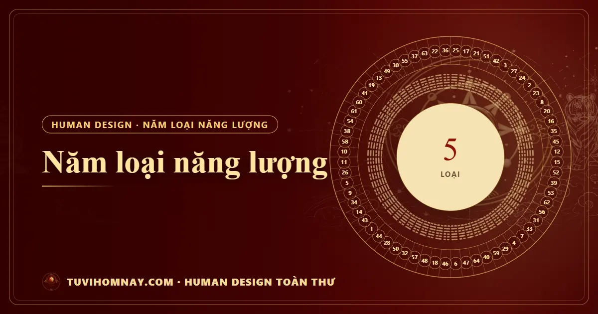 Năm loại năng lượng — Human Design toàn thư
