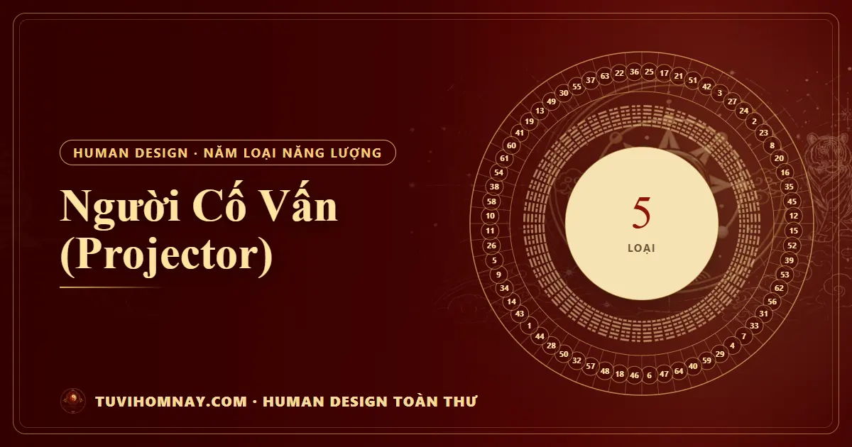 Người Cố Vấn (Projector) — Human Design toàn thư