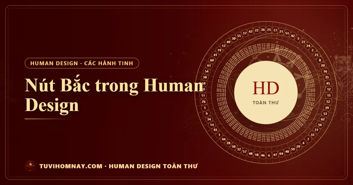 Nút Bắc trong Human Design — Human Design toàn thư