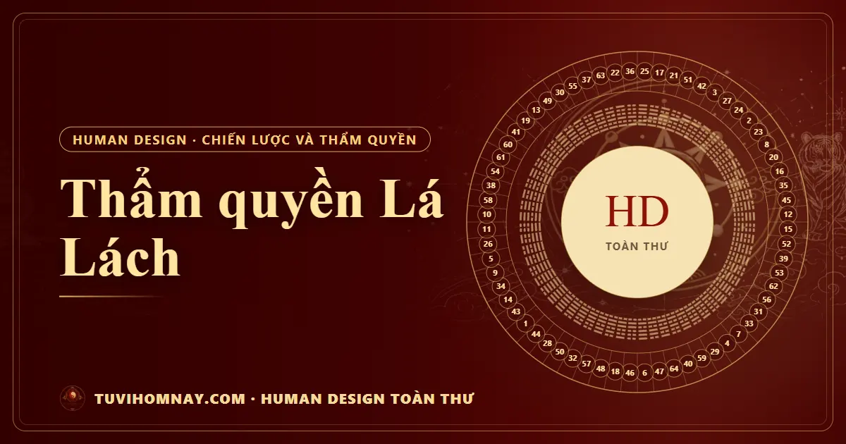 Thẩm quyền Lá Lách — Human Design toàn thư