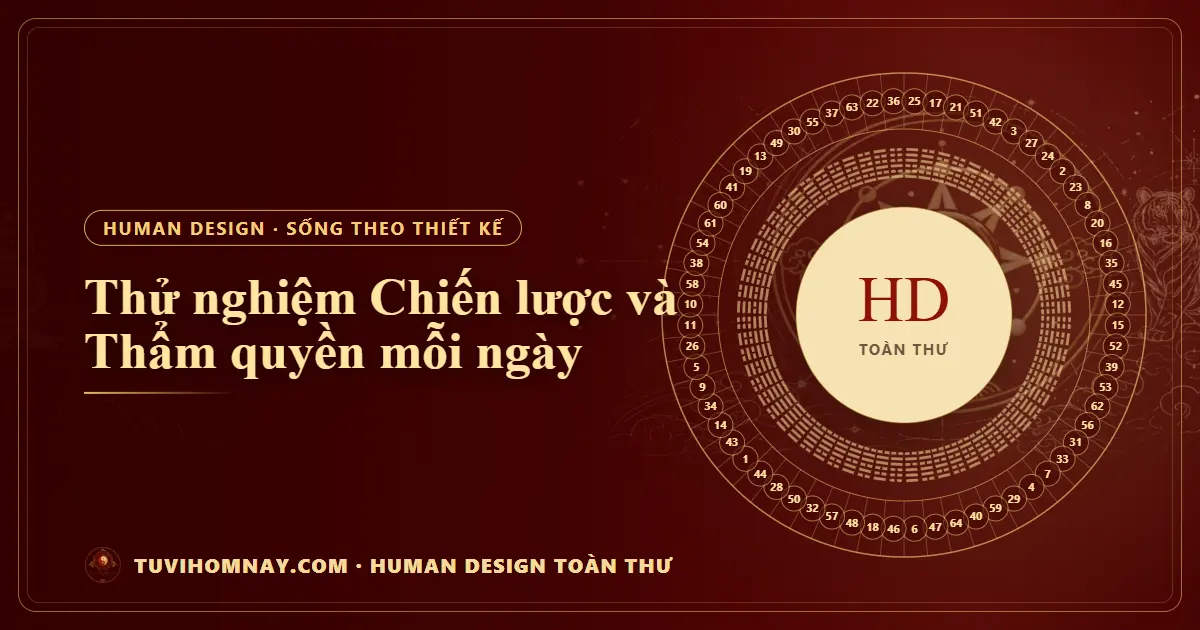 Thử nghiệm Chiến lược và Thẩm quyền mỗi ngày — Human Design toàn thư