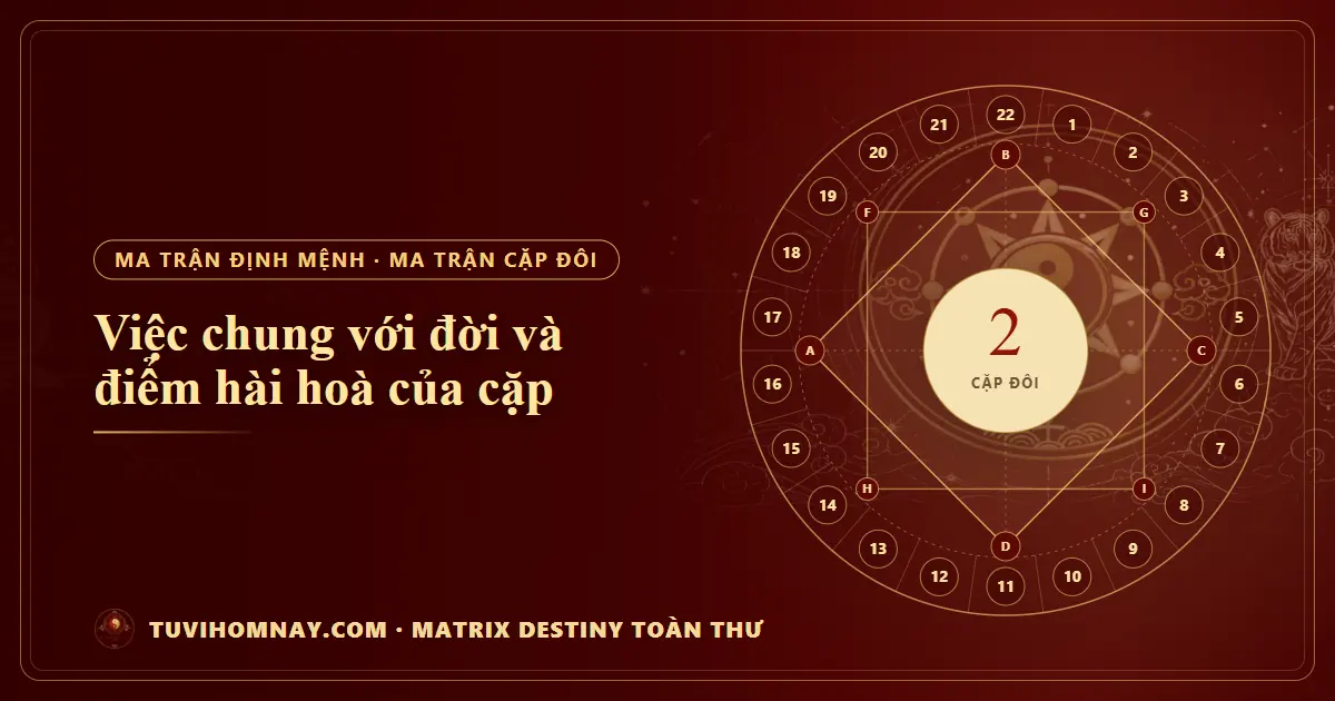 Việc chung với đời và điểm hài hoà của cặp — Matrix Destiny toàn thư