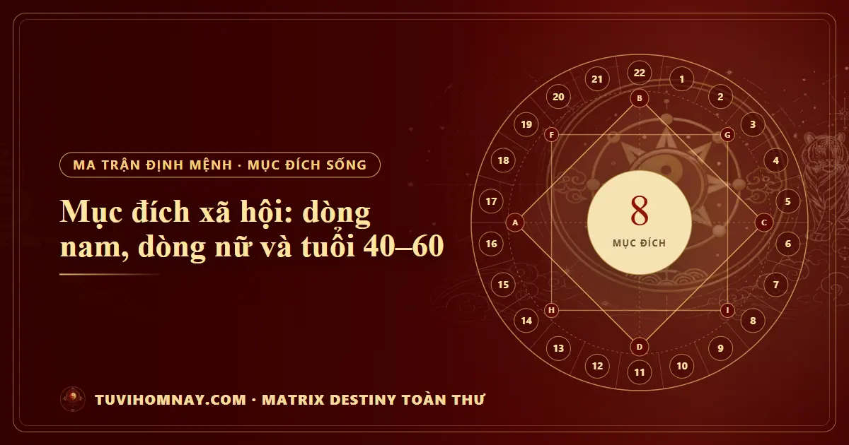 Mục đích xã hội: dòng nam, dòng nữ và tuổi 40–60 — Matrix Destiny toàn thư