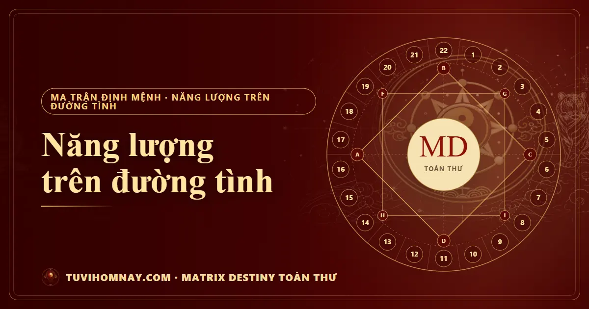 Năng lượng trên đường tình — Matrix Destiny toàn thư