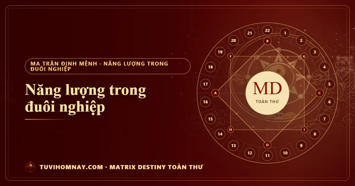Năng lượng trong đuôi nghiệp — Matrix Destiny toàn thư