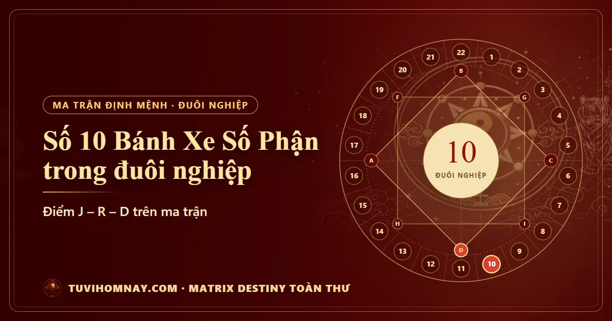 Số 10 (Bánh Xe Số Phận) trong đuôi nghiệp — Matrix Destiny toàn thư