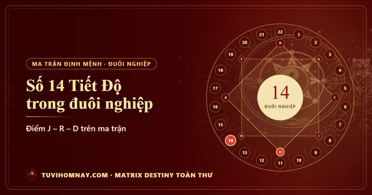 Số 14 (Tiết Độ) trong đuôi nghiệp — Matrix Destiny toàn thư